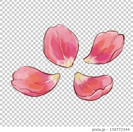 チューリップのイラスト 139772344