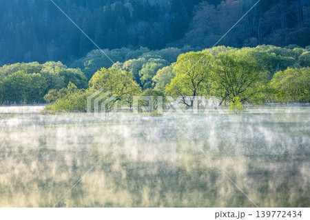 蒸気霧立つ「白川湖の水没林」(山形県飯豊町、4月下旬) 蒸気霧立つ「白川湖の水没林」(山形県飯豊町、4月下旬) 139772434