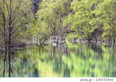 「白川湖の水没林」のカヌーツアー(山形県飯豊町、4月下旬) 139772448