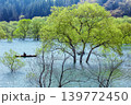「白川湖の水没林」のカヌーツアー(山形県飯豊町、4月下旬) 139772450