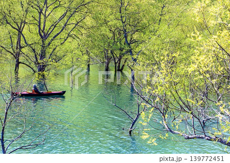 「白川湖の水没林」のカヌーツアー(山形県飯豊町、4月下旬) 「白川湖の水没林」のカヌーツアー(山形県飯豊町、4月下旬) 139772451