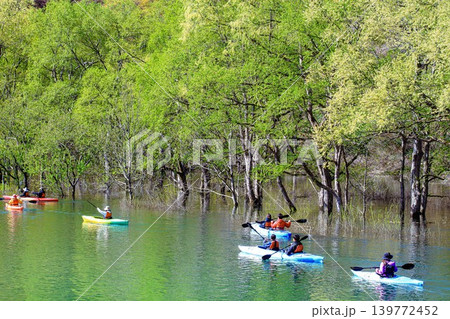 「白川湖の水没林」のカヌーツアー(山形県飯豊町、4月下旬) 「白川湖の水没林」のカヌーツアー(山形県飯豊町、4月下旬) 139772452