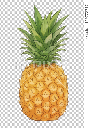 Pineapple illustration Pineapple illustration 139772717
