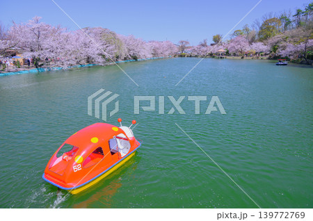 【臥竜公園】春の竜ヶ池【須坂市】 【臥竜公園】春の竜ヶ池【須坂市】 139772769