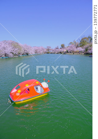 【臥竜公園】春の竜ヶ池【須坂市】 139772771