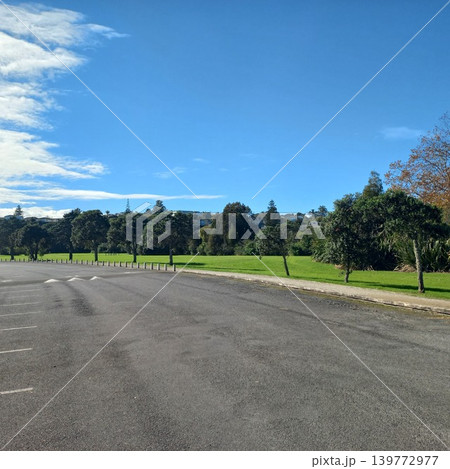 Auckland・onepoto domain Auckland・onepoto domain 139772977