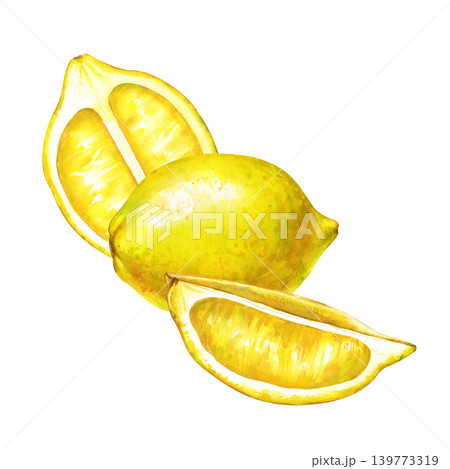 Watercolor lemon fruit composition with whole lemon, half and slice botanical illustration on isolated background Watercolor lemon fruit composition with whole lemon, half and slice botanical illustration on isolated background 139773319