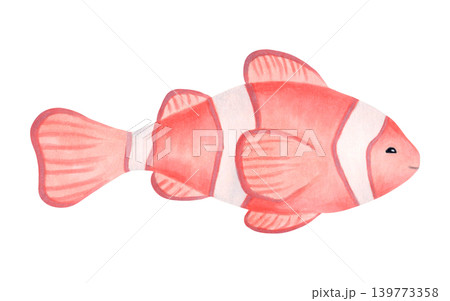 Watercolor cartoon illustration of a clown fish. Cute sea animal perfect for decorating a nursery wall or baby shower. Clownfish image for nautical themed childrens greeting cards or invitations Watercolor cartoon illustration of a clown fish. Cute sea animal perfect for decorating a nursery wall or baby shower. Clownfish image for nautical themed childrens greeting cards or invitations 139773358
