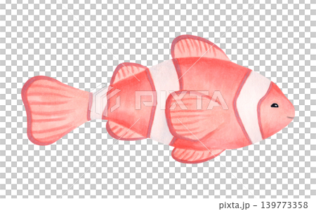 Watercolor cartoon illustration of a clown fish. Cute sea animal perfect for decorating a nursery wall or baby shower. Clownfish image for nautical themed childrens greeting cards or invitations Watercolor cartoon illustration of a clown fish. Cute sea animal perfect for decorating a nursery wall or baby shower. Clownfish image for nautical themed childrens greeting cards or invitations 139773358
