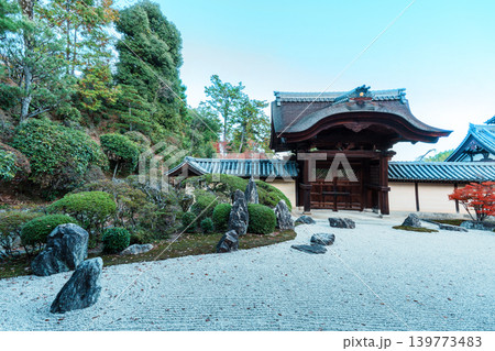 秋の光明寺 信楽庭と勅使門 秋の光明寺 信楽庭と勅使門 139773483
