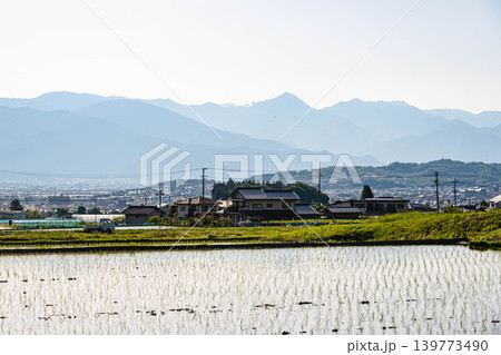 田植えが終わったばかりの水田と山辺の街並み 田植えが終わったばかりの水田と山辺の街並み 139773490