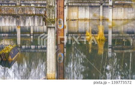 Silent waterfront scene. Serene waters mirror abandoned structures corroded and overgrown with nature 139773572