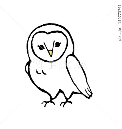 シンプルなメンフクロウの手描きイラスト シンプルなメンフクロウの手描きイラスト 139773761