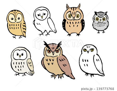 かわいいフクロウのイラストセット かわいいフクロウのイラストセット 139773768