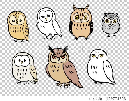 かわいいフクロウのイラストセット かわいいフクロウのイラストセット 139773768