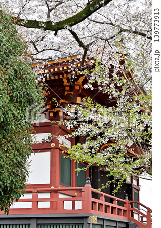 岩槻散歩：天台宗 慈恩寺　本堂 139773913