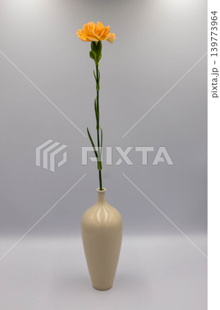 一輪のオレンジ色のカーネーションと白い花瓶 一輪のオレンジ色のカーネーションと白い花瓶 139773964