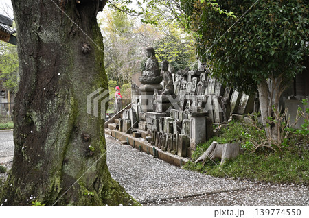岩槻散歩:天台宗 慈恩寺 石仏 岩槻散歩:天台宗 慈恩寺 石仏 139774550