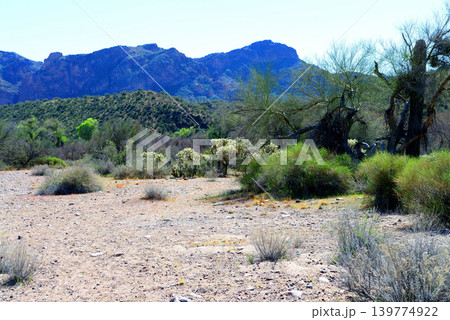 Salt River Recreation Area Arizona 139774922