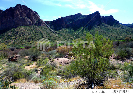 Salt River Recreation Area Arizona Salt River Recreation Area Arizona 139774925