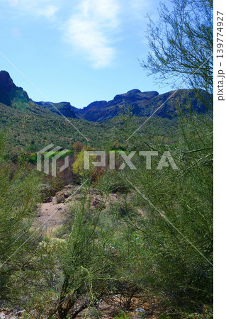 Salt River Recreation Area Arizona 139774927