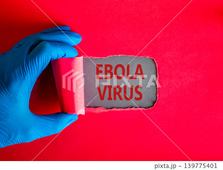 Ebola virus medical words symbol. Concept words Ebola virus on beautiful grey paper. Beautiful red background. Doctor hand. Medical Ebola virus concept. Copy space. Ebola virus medical words symbol. Concept words Ebola virus on beautiful grey paper. Beautiful red background. Doctor hand. Medical Ebola virus concept. Copy space. 139775401