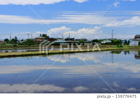 水を張った田んぼに映る空 水を張った田んぼに映る空 139776475