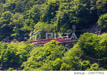 新緑の中を進む大井川鐵道列車 新緑の中を進む大井川鐵道列車 139777932