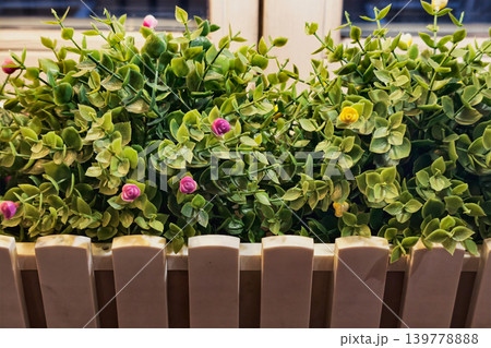 Green plants are arranged in a wooden box on a window sill with small colorful flowers. Natural light fills the space, highlighting the plants 139778888