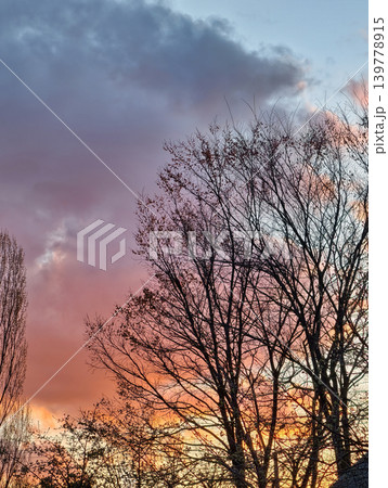 Late afternoon shows a vibrant sunset with clouds in the sky. Bare trees stand in silhouette against the colorful backdrop of the sky Late afternoon shows a vibrant sunset with clouds in the sky. Bare trees stand in silhouette against the colorful backdrop of the sky 139778915