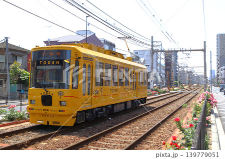 ［SA］都電荒川線8500形（都電8501号車：TODENリニュアール車両） 139779051