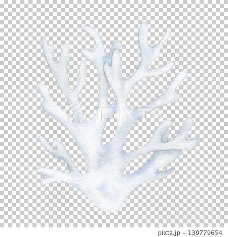 White coral reef watercolor  isolated illustration. Hand drawn  delicate marine underwater plant clipart for ocean-themed branding, aquatic design, spa decoration and summer maritime projects. 139779654