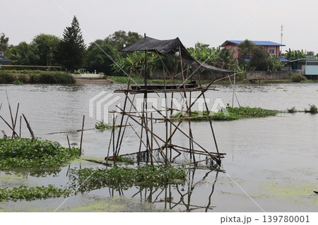 Bamboo Platform Over Flooded Water Bamboo Platform Over Flooded Water 139780001