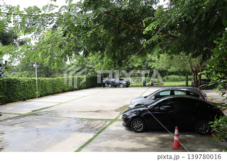 Parking Lot with Trees and Vehicles Parking Lot with Trees and Vehicles 139780016