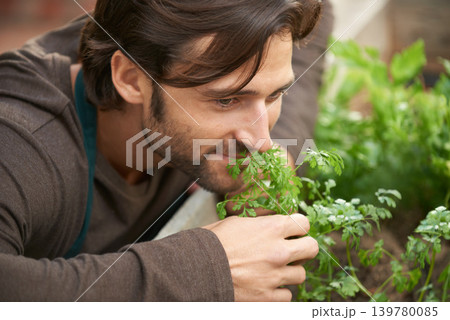 Man, garden and smelling herbs in nursery for aroma, freshness or quality check with smile. Male person, happy and satisfied with scent of greenery for cultivation, growth or selling in plant shop 139780085