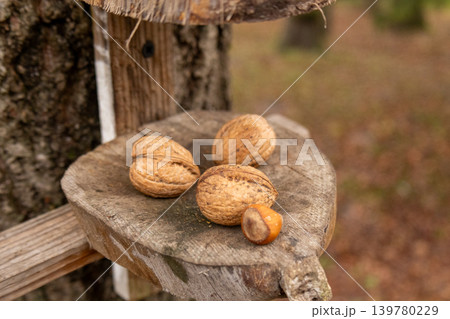 Two nuts are placed on a wooden feeder mounted on a tree. The scene shows an outdoor space with fallen leaves and trees 139780229