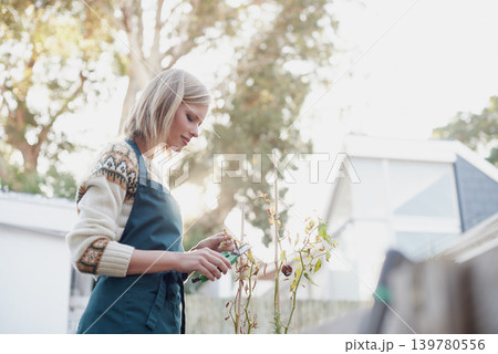 Gardening, backyard and woman with cutter for plants for landscaping, planting flowers and growth. Agriculture, nature and person for outdoor environment, growing vegetables and nursery in backyard Gardening, backyard and woman with cutter for plants for landscaping, planting flowers and growth. Agriculture, nature and person for outdoor environment, growing vegetables and nursery in backyard 139780556