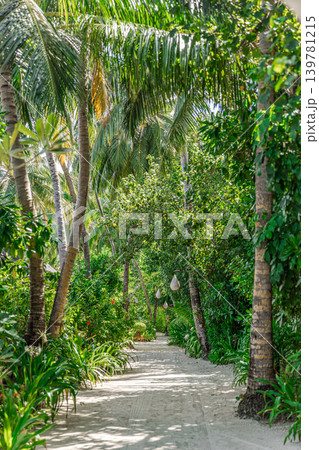 Maldives beach palm trees stunning forest trail breathtaking dreamy ethereal luminous serene paradise exotic coastal tropical island jungle nature travel destination summer vacation idyllic Maldives beach palm trees stunning forest trail breathtaking dreamy ethereal luminous serene paradise exotic coastal tropical island jungle nature travel destination summer vacation idyllic 139781215