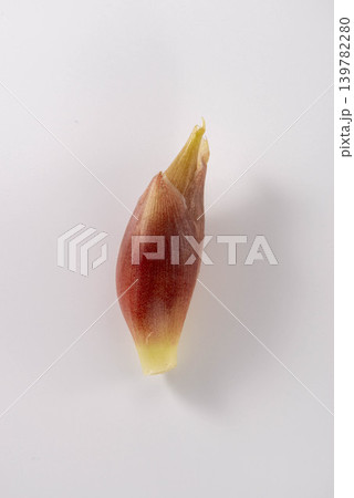 日本の薬味・ミョウガの花蕾・白背景のジンジャー系ハーブ 139782280