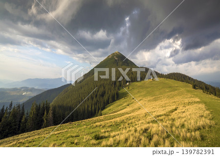 Panoramic view of green grassy valley, pine trees and rural small peasant huts at foot of distant woody mountain under dark blue cloudy sky before thunderstorm. Beauty of nature, tourism, traveling. Panoramic view of green grassy valley, pine trees and rural small peasant huts at foot of distant woody mountain under dark blue cloudy sky before thunderstorm. Beauty of nature, tourism, traveling. 139782391