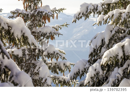 Fir-tree branches with green needles and cones covered with deep fresh clean snow and hoarfrost on blurred blue outdoors copy space background. Merry Christmas and Happy New Year greeting card. 139782395