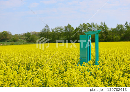 菜の花畑にある扉 139782418