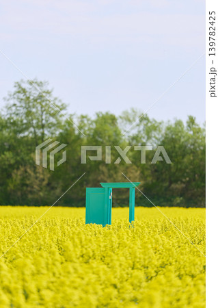 菜の花畑にある扉 菜の花畑にある扉 139782425