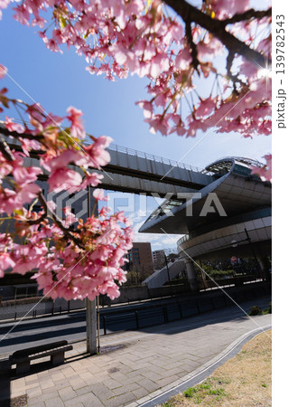 千葉都市モノレール県庁前駅と河津桜が彩る春の都川公園 139782543