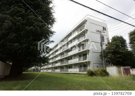 昭和レトロな佇まい：豊かな緑の敷地に佇むノスタルジックな公団住宅の景観 139782709