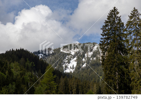 Snow Capped Alpine Mountain View With Evergreen Forest in Bavaria 139782749