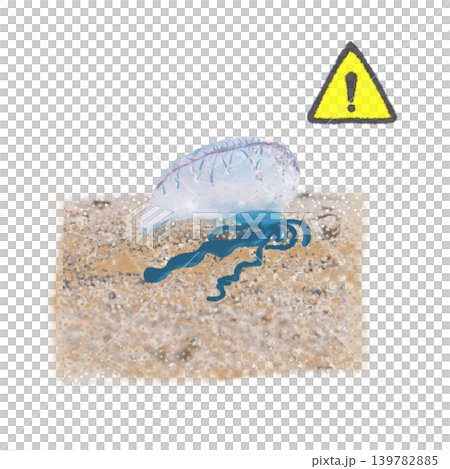 注意マーク付きのカツオノエボシ漂着イラスト 注意マーク付きのカツオノエボシ漂着イラスト 139782885