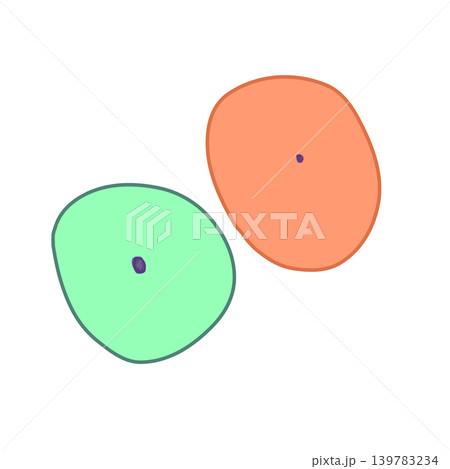 扁平上皮細胞　squamous epithelial cells 139783234