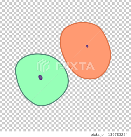 扁平上皮細胞　squamous epithelial cells 139783234