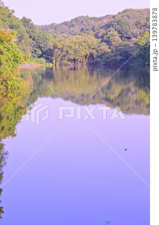 八丁湖 埼玉県吉見町 八丁湖 埼玉県吉見町 139783878